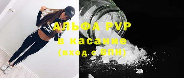 ECSTASY Гусиноозёрск
