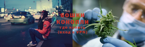 альфа пвп Гусев