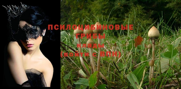 альфа пвп Гусев