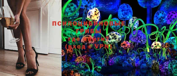 ECSTASY Гусиноозёрск
