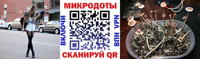 Галлюциногенные грибы Psilocybine cubensis  купить наркотик  Ветлуга 